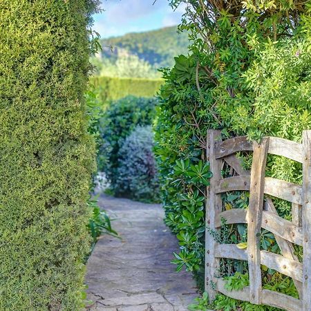 Finca Malena カイマリ エクステリア 写真